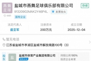 盐城市燕舞集团组建足球俱乐部，计划征战2026年苏超